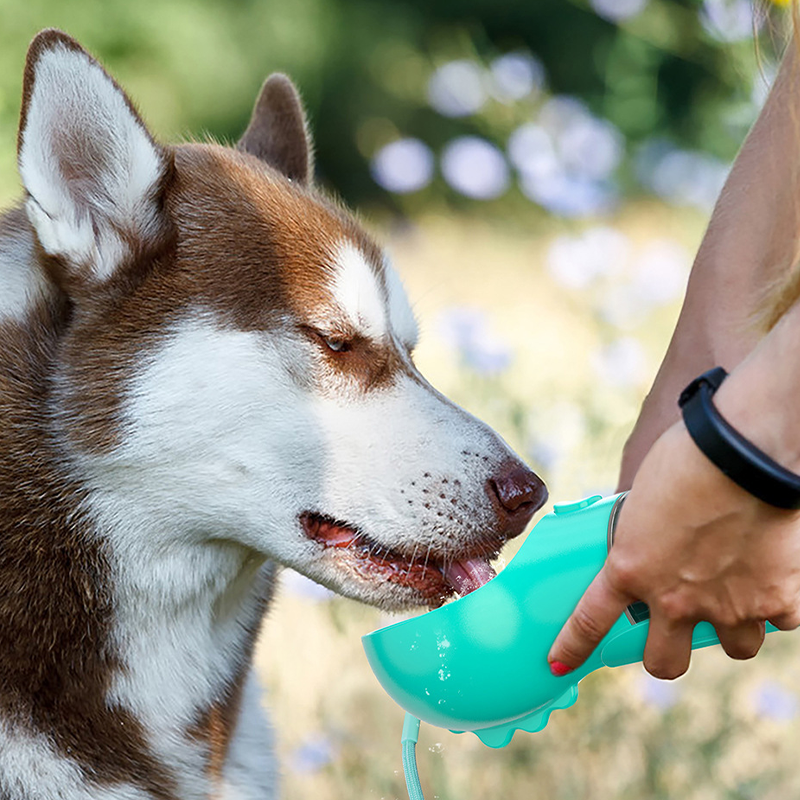 4 in 1 Multifunctional Dog Bottle