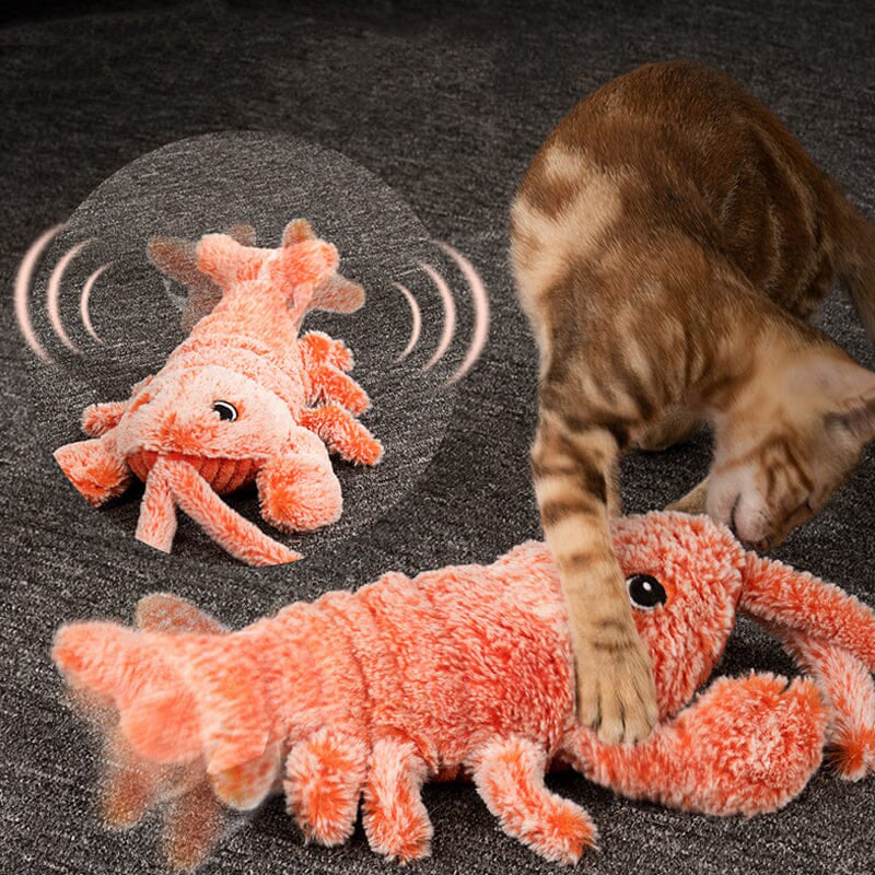 Interactive Cat And Dog Toy